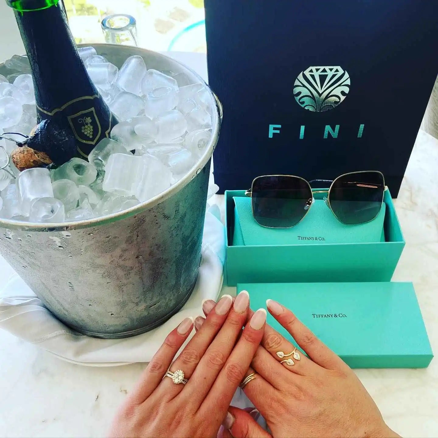 files/hands-rings-champagne-ice-bucket-designer-sunglasses.webp