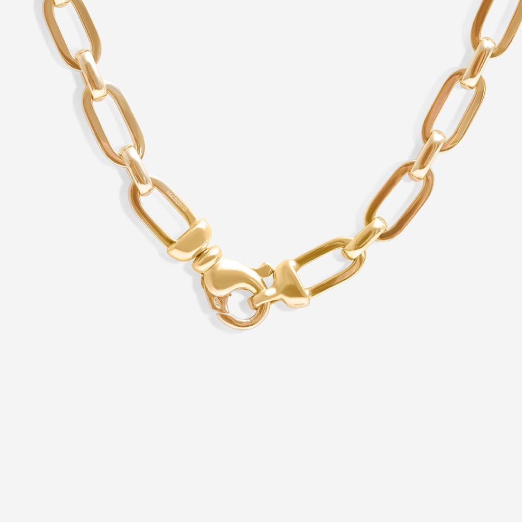 close up of lobster catch on gold chain