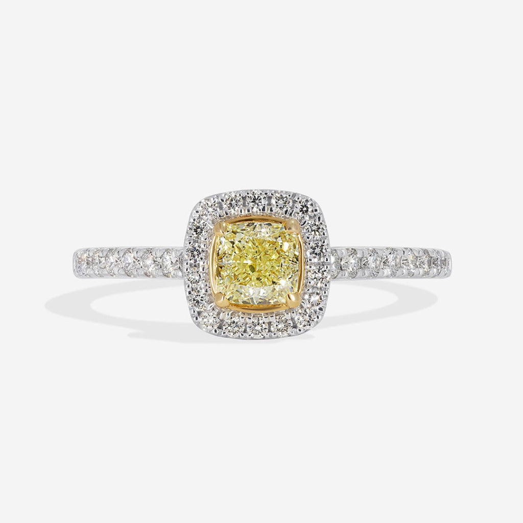 Saffron| Platinum yellow diamond engagement ring